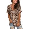 30-cheetah Print